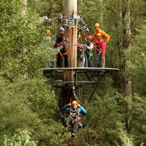 Otway Fly Treetop Adventures